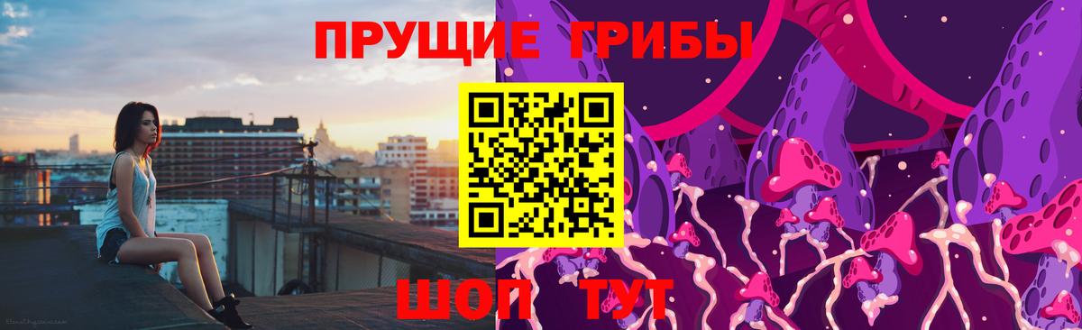 Псилоцибиновые грибы мухоморы  закладки  Шадринск  Вход с VPN 